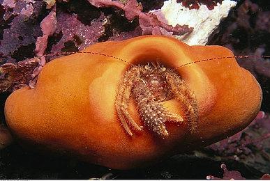 Xbox高管：今年秋季和明年春季 Xbox都有强大的游戏阵容