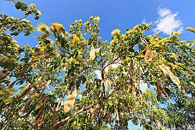 《战锤40K：星际战士2》已开发完毕 开始送厂压盘