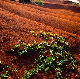 RTX 5090运行装3500多个MOD的《上古卷轴5》效果