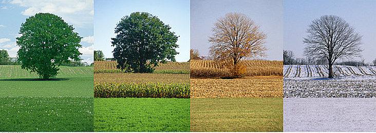 Team17将于2023年发行捕鱼冒险游戏《捕捞》